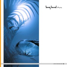 Big Bud – Pure EP (2x12)