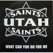Utah Saints ‎– What Can You Do For Me