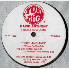 David Anthony Featuring Tara Layne ‎– Dove Andiamo (Where Do We Go!)