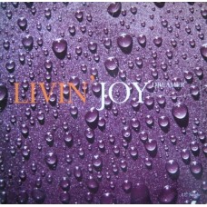 Livin' Joy – Dreamer