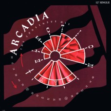 Arcadia – Election Day (The Consensus Mix)