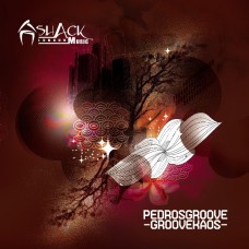 Pedrosgroove ‎– Groovekaos