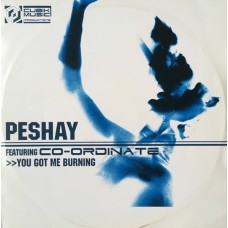 Peshay Featuring Co-Ordinate – You Got Me Burning / Fuzion