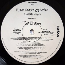 Fusion Groove Orchestra + Simon Green – The Dream