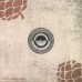 OdD – Stroboscope